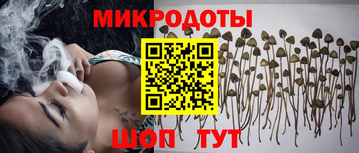 Галлюциногенные грибы Psilocybine cubensis  Вход с VPN  Коломна 